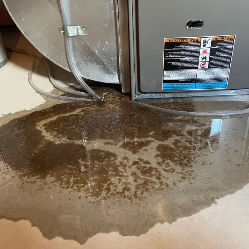 Pipe Burst and Leak Restoration in Manchester-by-the-Sea, MA